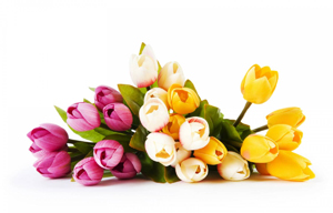 21 марта – Международный день Новруз (Наурыз) – праздник весны и начала нового года в ряде стран Евразии 