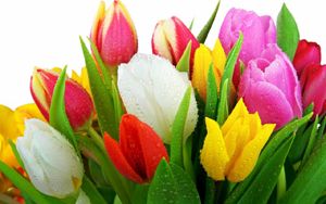 21 марта – Международный день Наурыз
