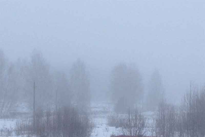 Первого февраля в Оренбургской области прогнозируют туман и сильный ветер