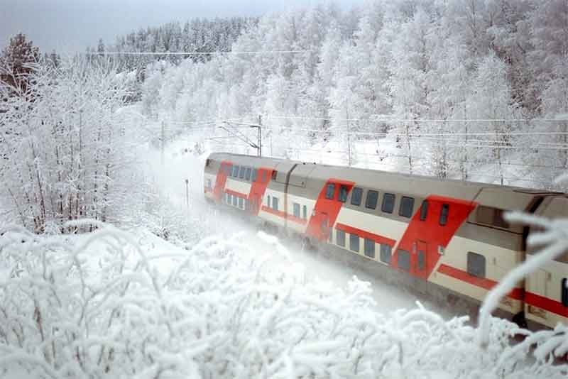 Транспортная прокуратура назвала причину аварийной остановки поезда «Москва-Орск»
