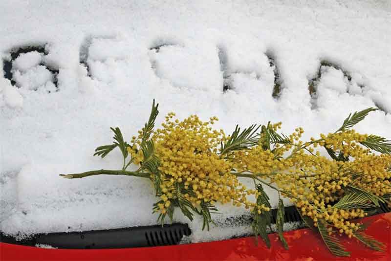 Первый день весны встречает оренбуржцев легким морозцем
