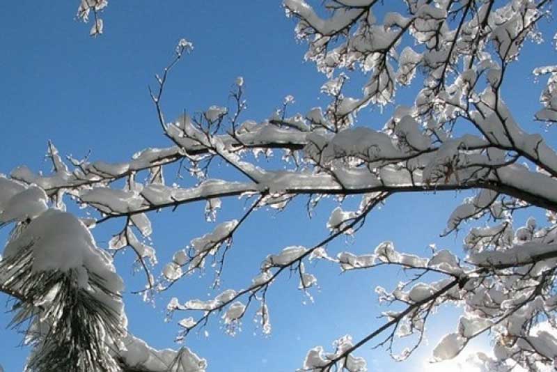 Морозы задержатся: потепления в Оренбуржье пока не ожидается