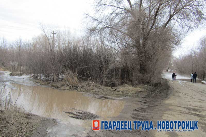 Ситуацию с прохождением паводка оценил глава Новотроицка   Денис  Меньшиков 