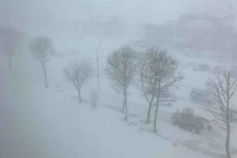 В МЧС жителей Оренбуржья предупреждают о тумане и ледяном дожде 3 февраля