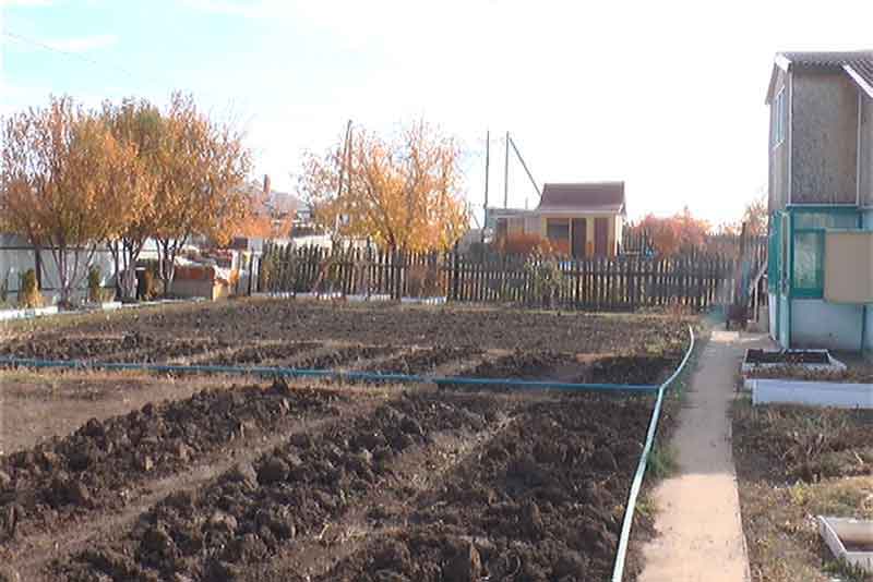 Новотроицкие садоводы рассчитывают на областные субсидии
