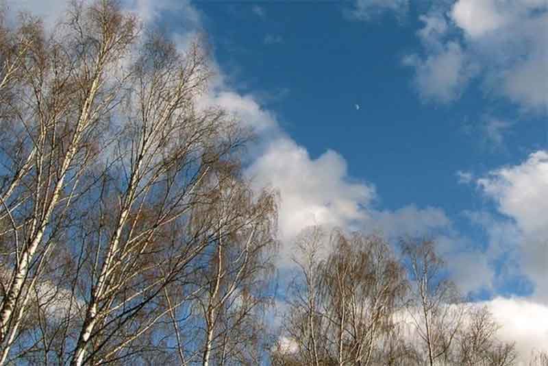 В Оренбургской области днем 3 апреля воздух прогреется до +17 градусов