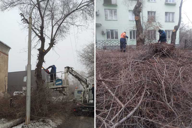 В Новотроицке продолжаются работы  по опиловке деревьев