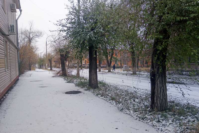 В Оренбуржье 3 ноября синоптики прогнозируют снег на весь день