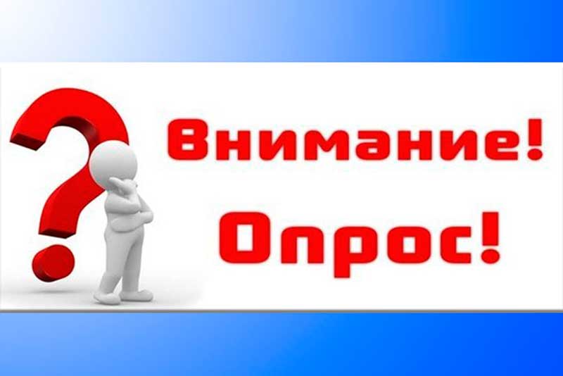 Оренбуржцев приглашают принять участие в онлайн-опросах органов власти