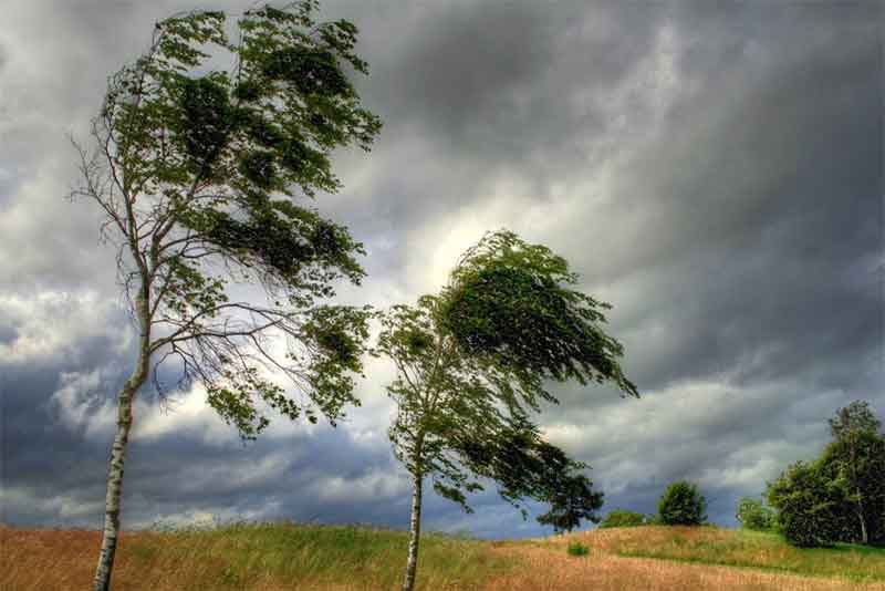 Усиление ветра и дождь с грозой ожидаются в Оренбуржье