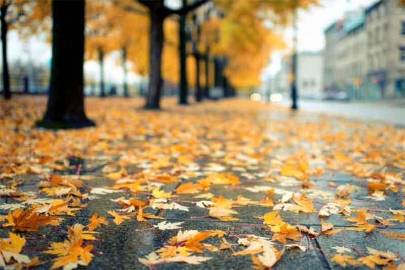 В Оренбургской области днем 4 октября ожидается по-осеннему теплая погода без осадков