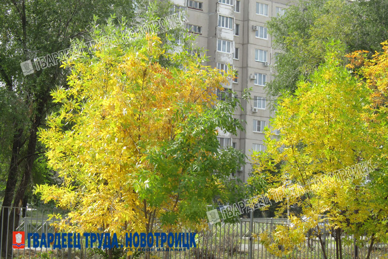 Днем 4 октября в Оренбургской области прогнозируют дождь и до +22 градусов