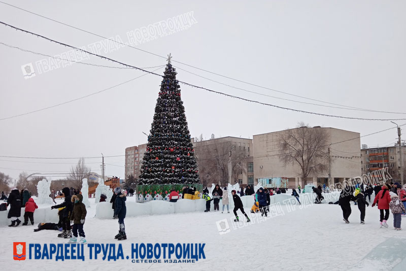 В Новотроицке установят три новогодних  елки