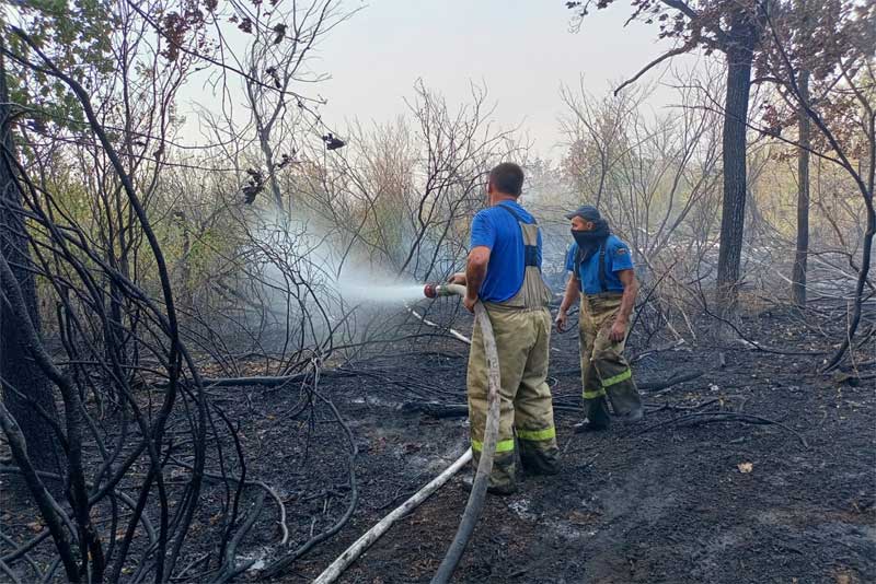 Природный пожар в Кувандыкском городском округе локализован