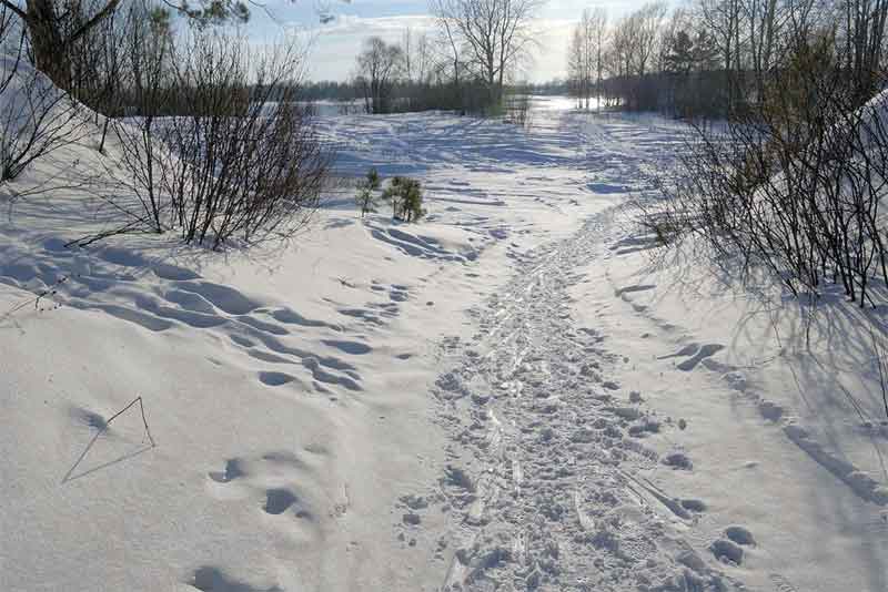 В Оренбуржье днем 5 декабря ожидается небольшой снег и до -12 градусов мороза