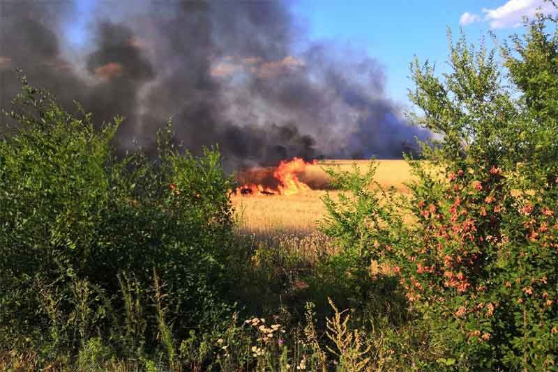За сутки в Оренбуржье зарегистрировано 20 степных пожаров 