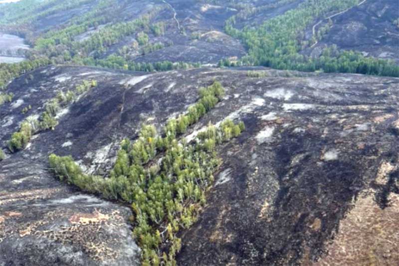 В Оренбуржье отменен режим ЧС в районах, где ликвидированы природные пожары