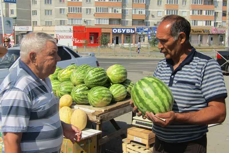 В Новотроицке уже торгуют арбузами и дынями. Урожай созрел раньше обычного