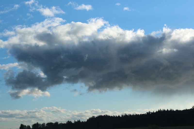 Погода в Оренбурге на 7 августа: синоптики обещают облачную и теплую пятницу