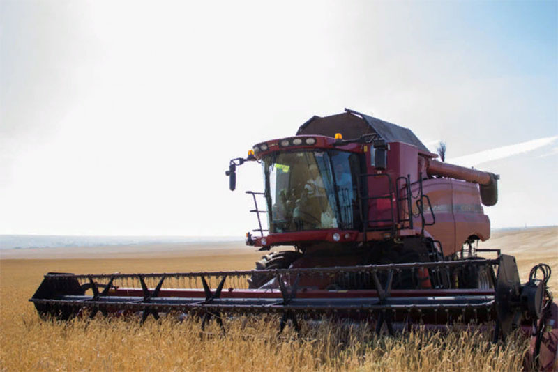 Аграрии Оренбургской области намолотили более 3,5 миллиона тонн зерна