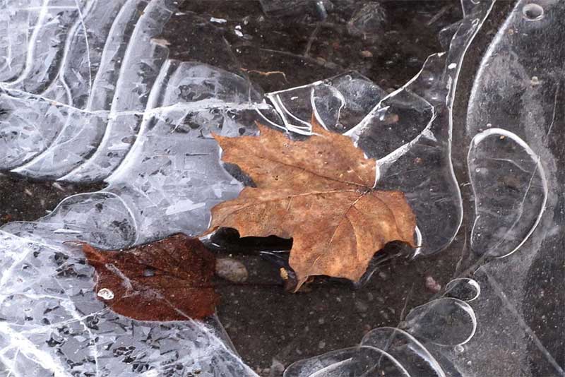Днем в Оренбуржье 7 ноября ожидается легкий морозец без снега, на дорогах возможен гололед