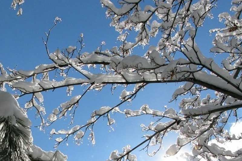 Снега не будет: синоптики предсказывают туман и похолодание в Оренбуржье