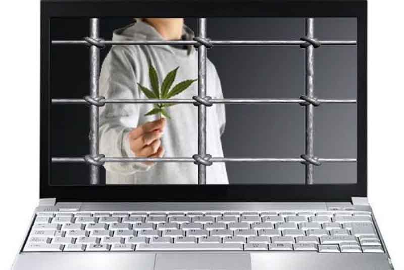 Семь лет лишения свободы за незаконный сбыт наркотиков через интернет