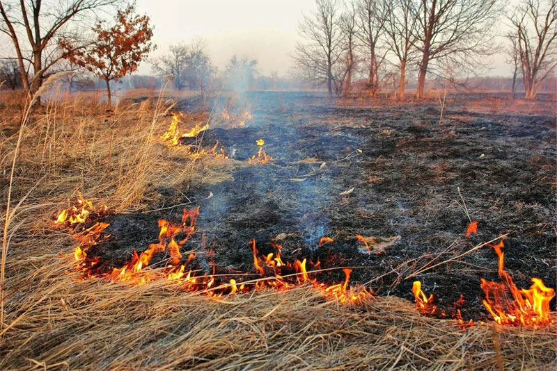 Количество территорий с высокой пожарной опасностью в Оренбуржье увеличилось 