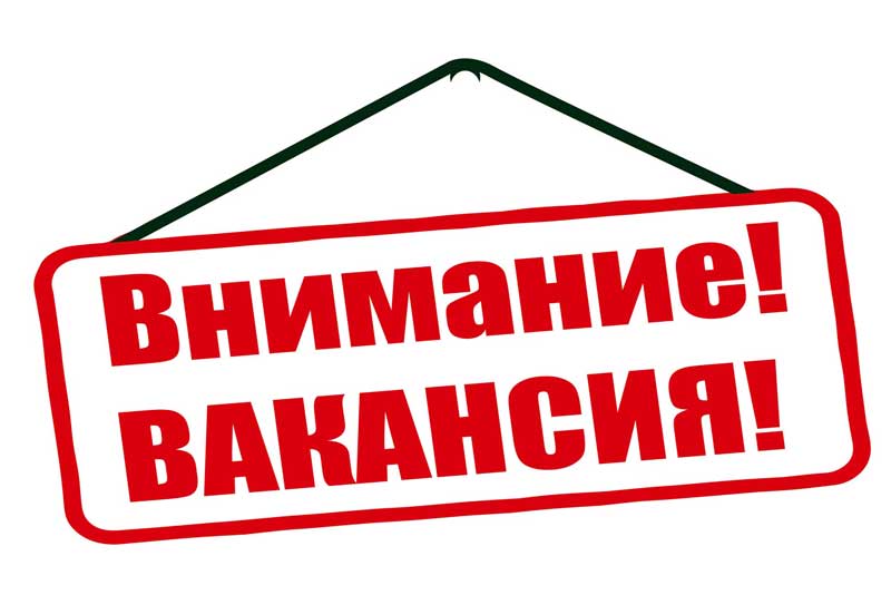 Оренбуржцам предлагают вакансии с заработной платой от 12,8 до 80 тысяч рублей