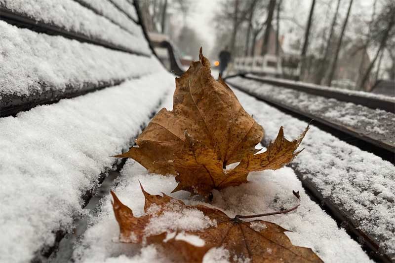 Небольшой снег, гололедица и до +3 градусов ожидается днем 8 ноября в Оренбуржье