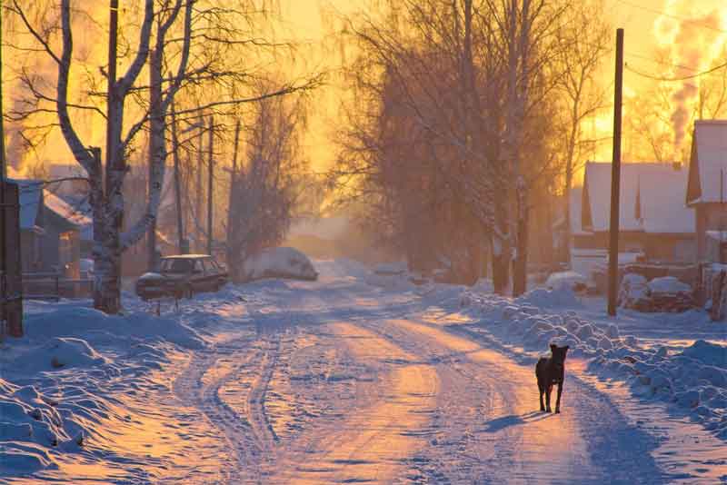 В МЧС жителей Оренбуржья предупреждают о сильном морозе 10 февраля