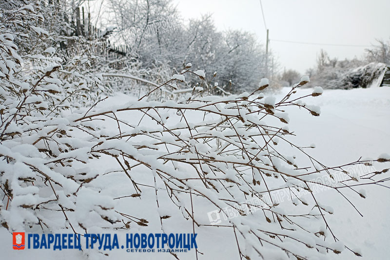 Днем, 9 февраля, в Оренбургской области прогнозируют небольшой снег, ветер и -12 градусов