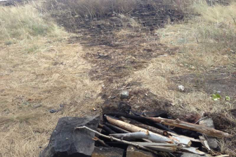 За сутки в Оренбуржье выгорело свыше 2 гектаров сухой травы