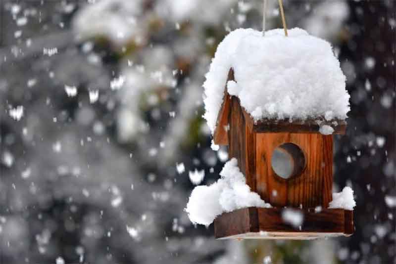 Зима близко: во вторую неделю ноября в Оренбуржье ожидаются снегопады