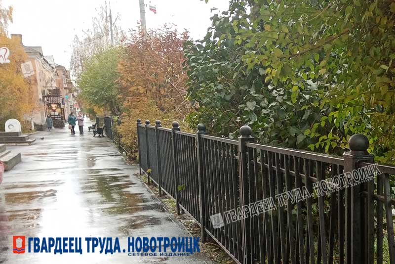 Небольшой дождь, ветер и до +9 градусов ожидаются в Оренбуржье днем 9 ноября