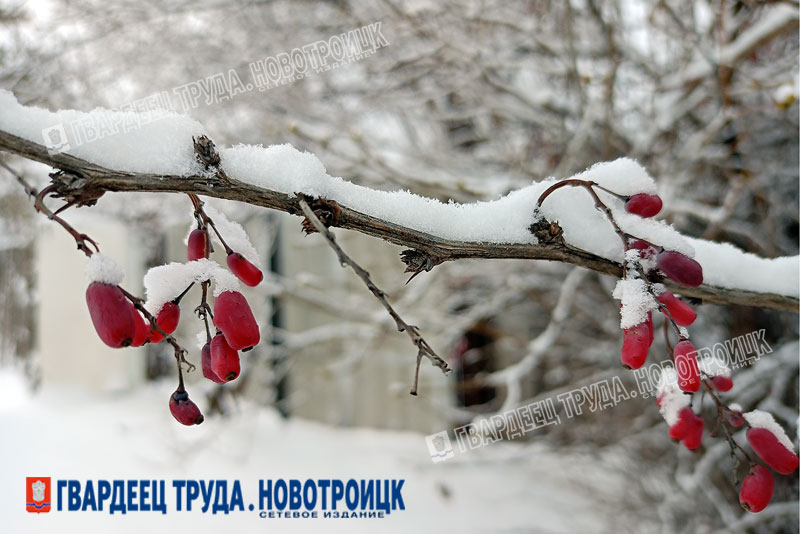 В Оренбуржье днем, 10 января, ожидается от -12 до -23 градусов