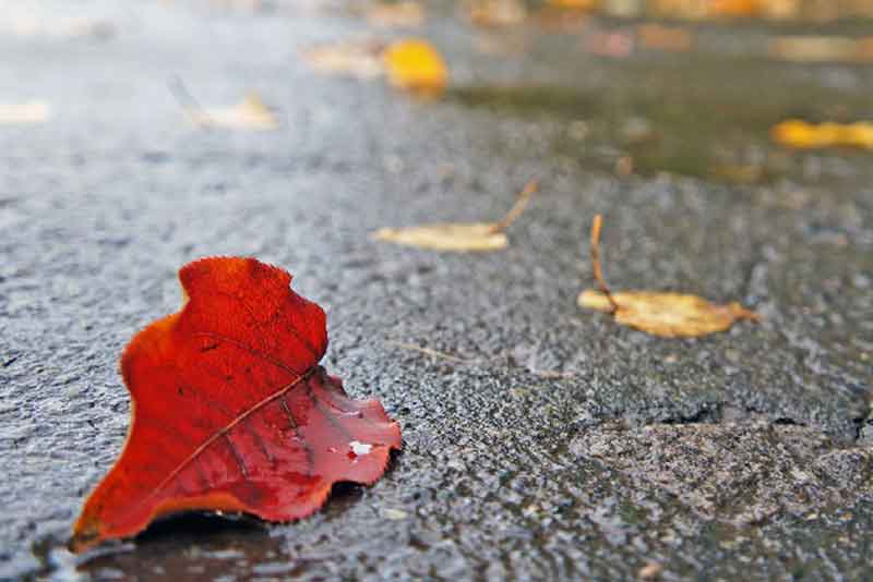 В Оренбуржье днем 11 октября ожидается слабый дождь и до +18 градусов