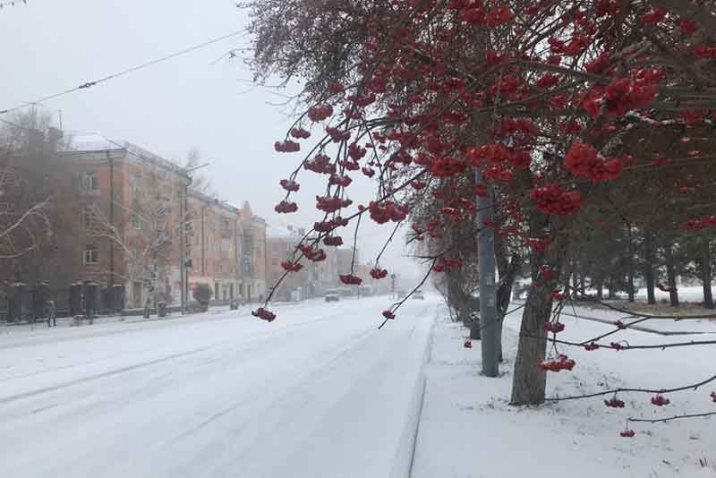 В Новотроицке рано утром 11 ноября выпал первый снег