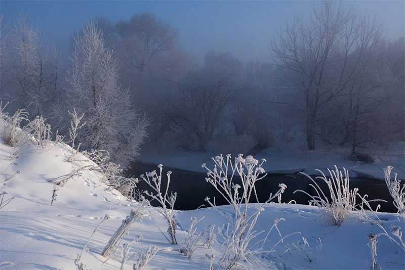 Южный ветер принесет в Оренбургскую область днем 12 января потепление до -20 градусов