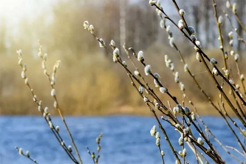 В Оренбургской области днем 12 апреля воздух прогреется до +17 градусов