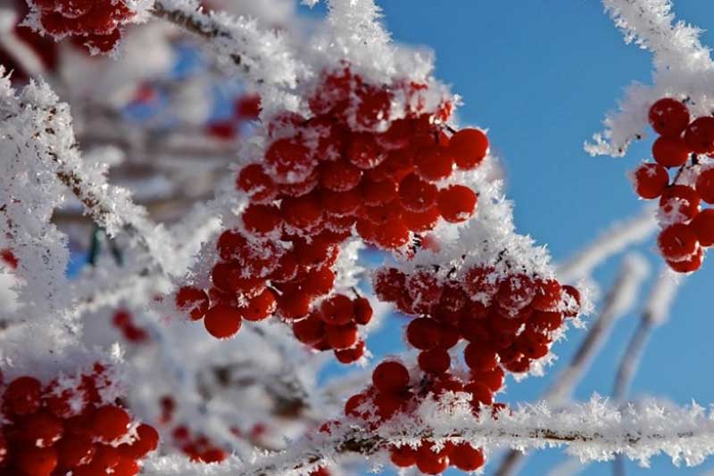 Зима не отступает: ночные морозы задержатся в Оренбуржье до выходных