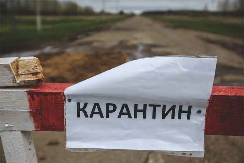 Оренбургское село в Тюльганском районе закрыли на карантин по коронавирусу