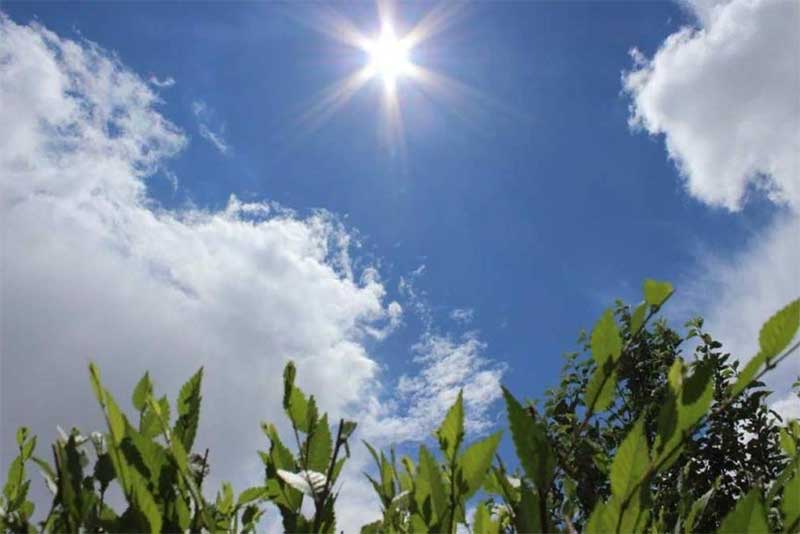 Погода в Оренбуржье на 13 августа: синоптики обещают солнечный и теплый четверг
