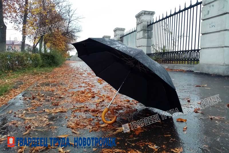 В Оренбуржье днем 13 октября пройдет дождь, ожидается сильный ветер и до +12 градусов