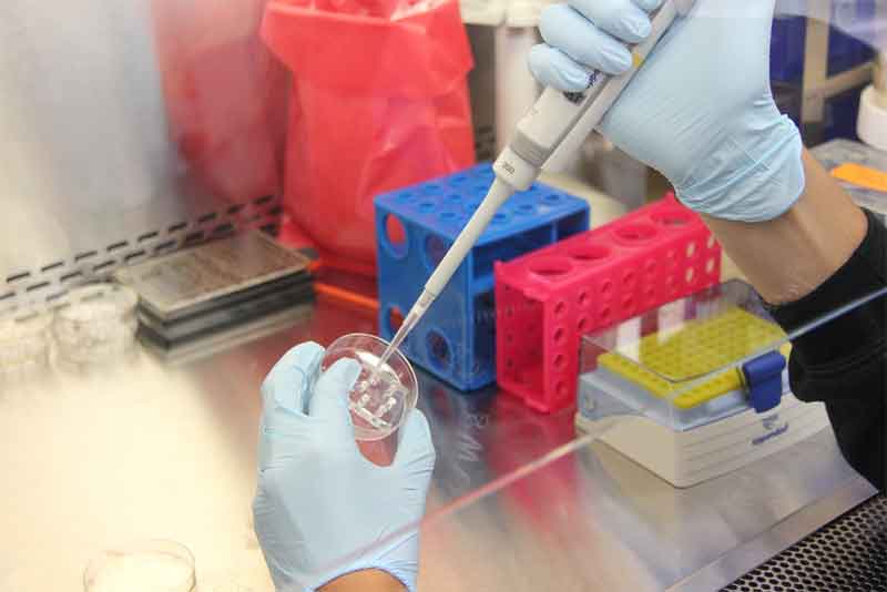 Число подтвержденных случаев заболевания коронавирусом в Оренбуржье достигло 53