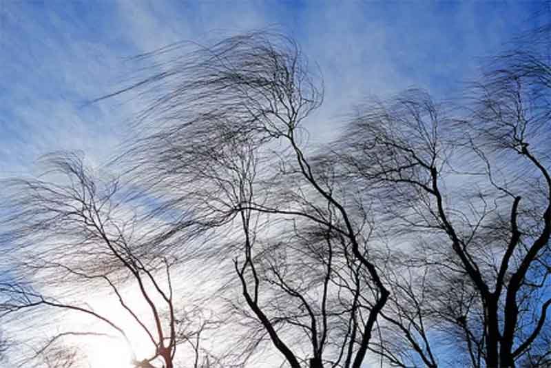 Синоптики предупреждают о порывистом ветре в Оренбургской области