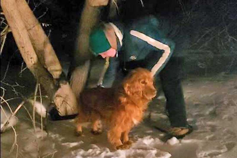 В Новотроицке кинолог со служебной собакой  обнаружил тайник с наркотиками
