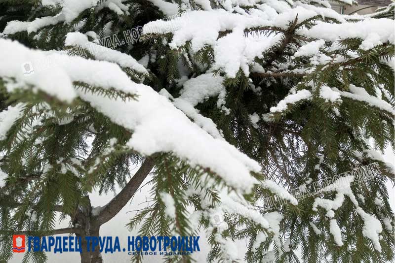 Снег, сильная метель и до -17 градусов ожидается днем, 17 января, в Оренбуржье 