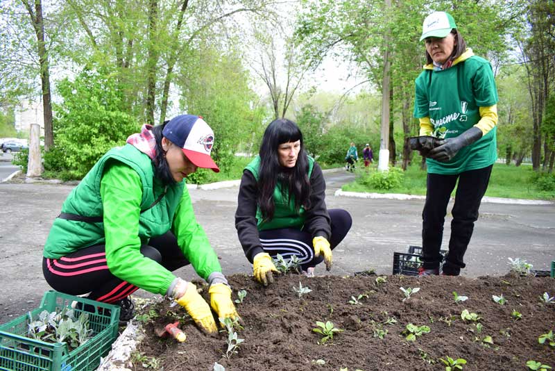 Более 500 цветочных кустов высадили металлурги-волонтеры в ходе экологического  субботника