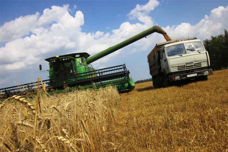 Аграрии региона намолотили 2,3 миллиона тонн зерна